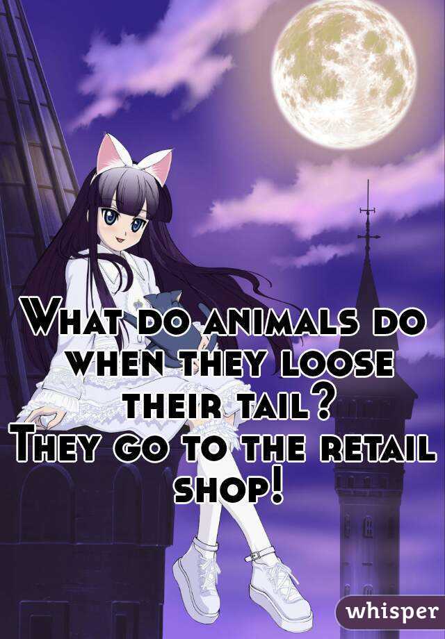 What do animals do when they loose their tail?
They go to the retail shop!