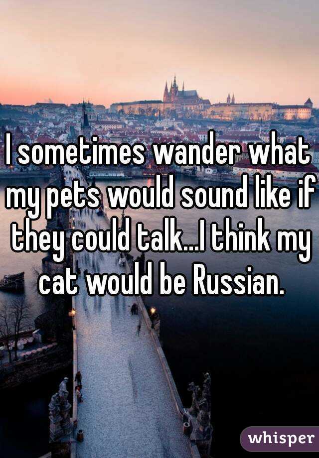 I sometimes wander what my pets would sound like if they could talk...I think my cat would be Russian.