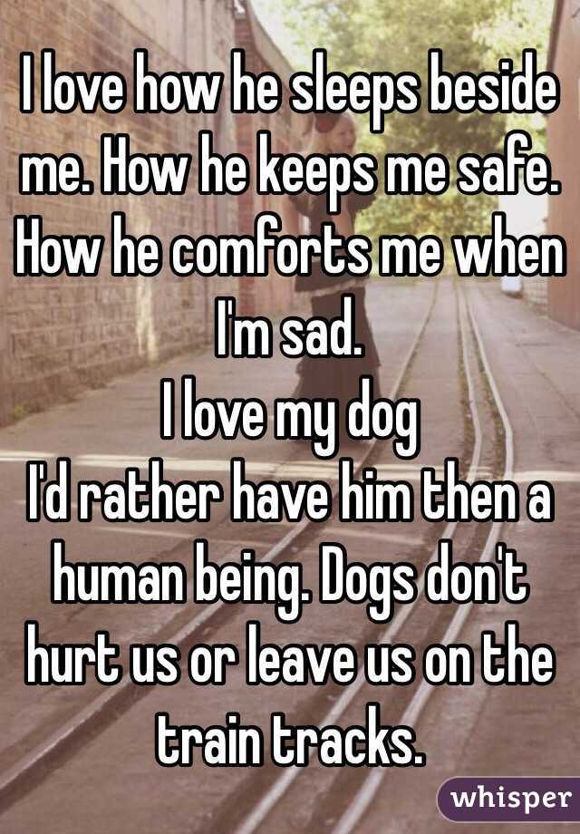 I love how he sleeps beside me. How he keeps me safe. How he comforts me when I'm sad. 
I love my dog
I'd rather have him then a human being. Dogs don't hurt us or leave us on the train tracks. 