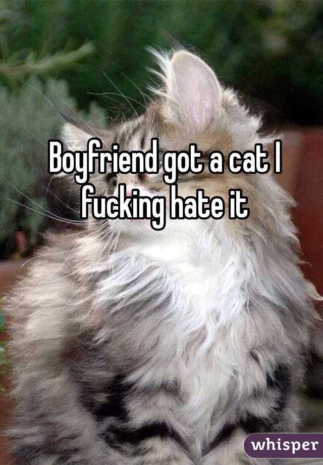 Boyfriend got a cat I fucking hate it