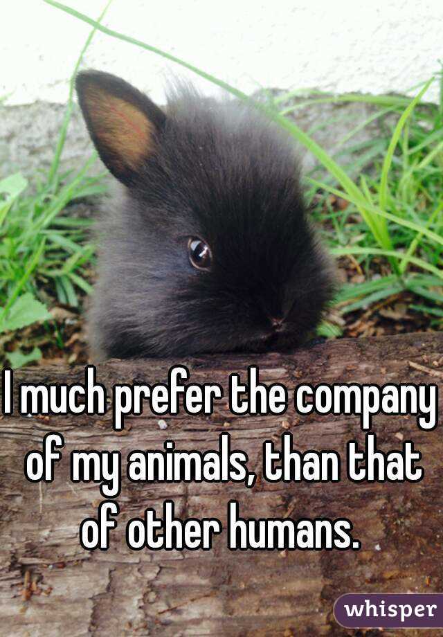 I much prefer the company of my animals, than that of other humans. 