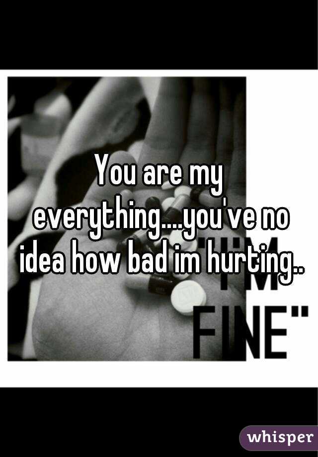 You are my everything....you've no idea how bad im hurting..