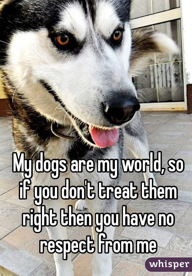 My dogs are my world, so if you don't treat them right then you have no respect from me