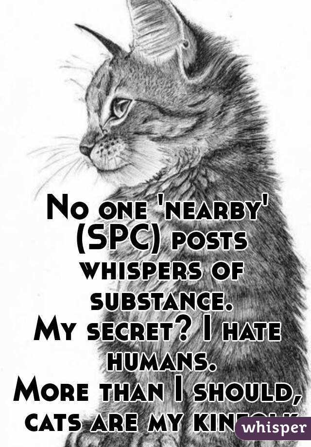 No one 'nearby' (SPC) posts whispers of substance.
My secret? I hate humans.
More than I should, cats are my kinfolk