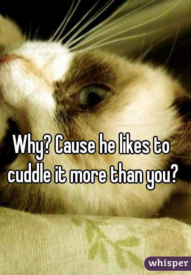 Why? Cause he likes to cuddle it more than you?