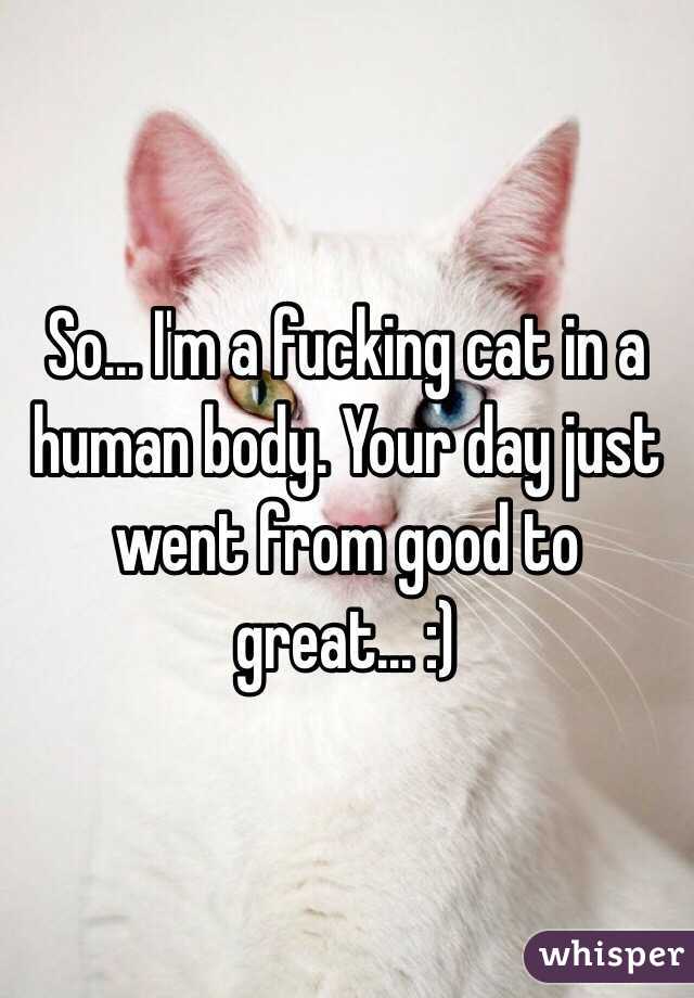 So... I'm a fucking cat in a human body. Your day just went from good to great... :)