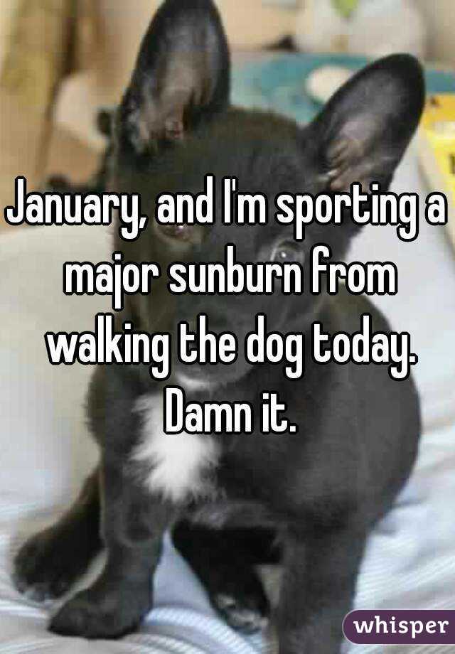 January, and I'm sporting a major sunburn from walking the dog today. Damn it.