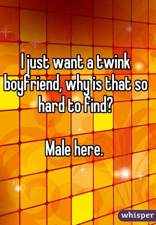 I just want a twink boyfriend, why is that so hard to find? 

Male here. 