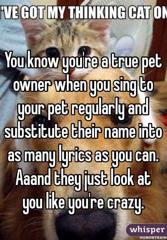 You know you're a true pet owner when you sing to your pet regularly and substitute their name into as many lyrics as you can.
Aaand they just look at you like you're crazy.