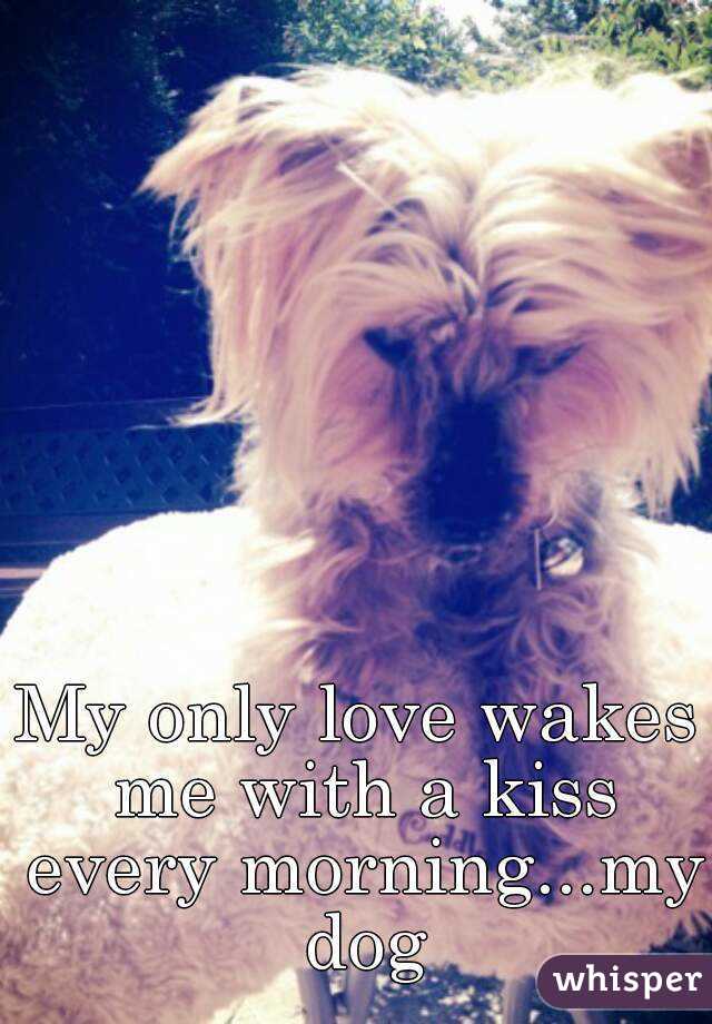My only love wakes me with a kiss every morning...my dog