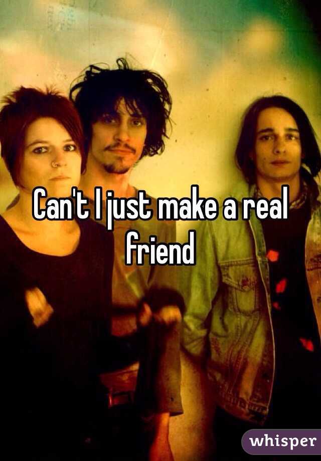 Can't I just make a real friend 