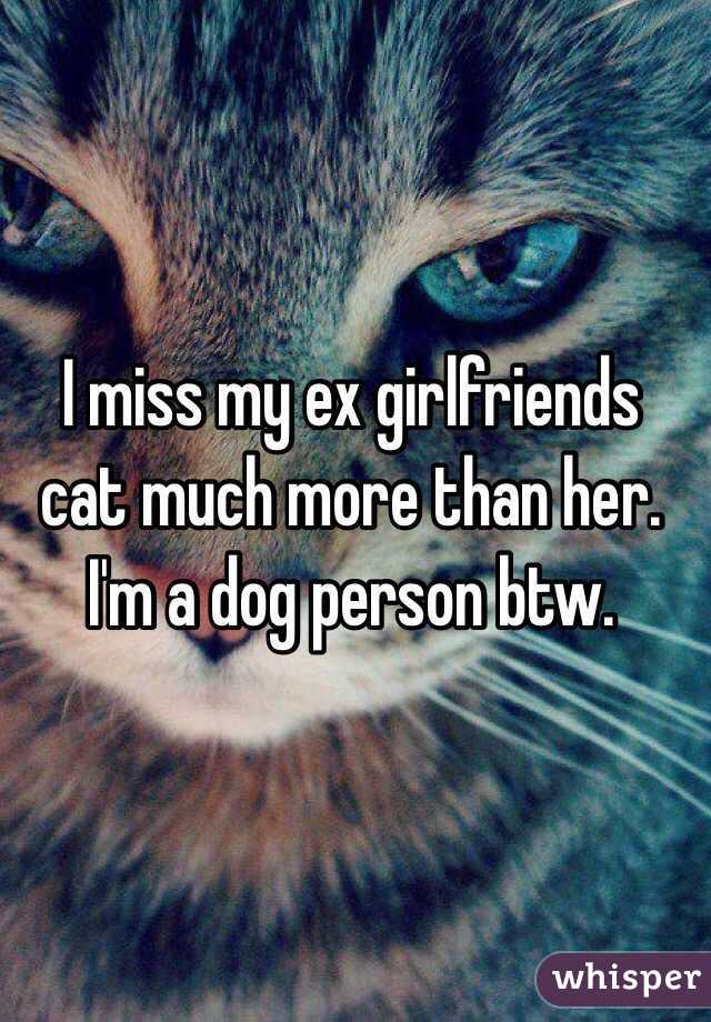 I miss my ex girlfriends cat much more than her. I'm a dog person btw.