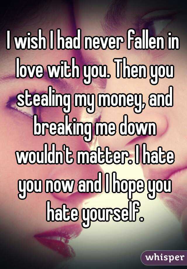 I wish I had never fallen in love with you. Then you stealing my money, and breaking me down wouldn't matter. I hate you now and I hope you hate yourself.