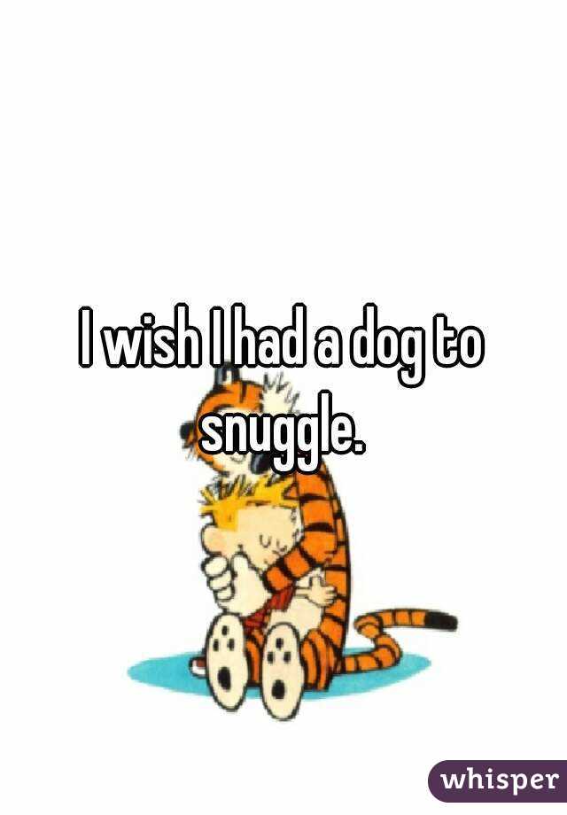 I wish I had a dog to snuggle. 