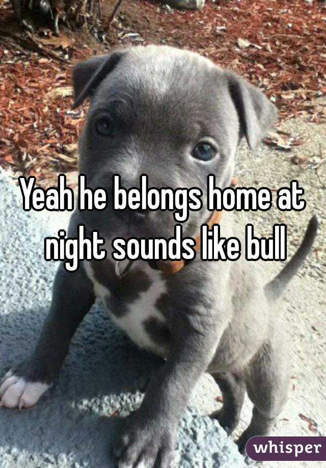 Yeah he belongs home at night sounds like bull