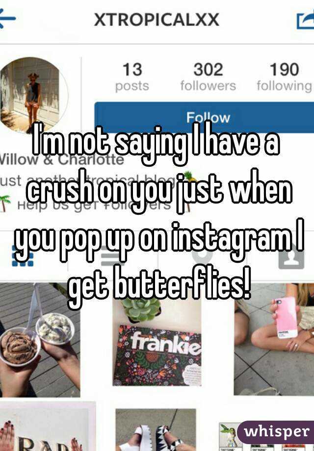 I'm not saying I have a crush on you just when you pop up on instagram I get butterflies!