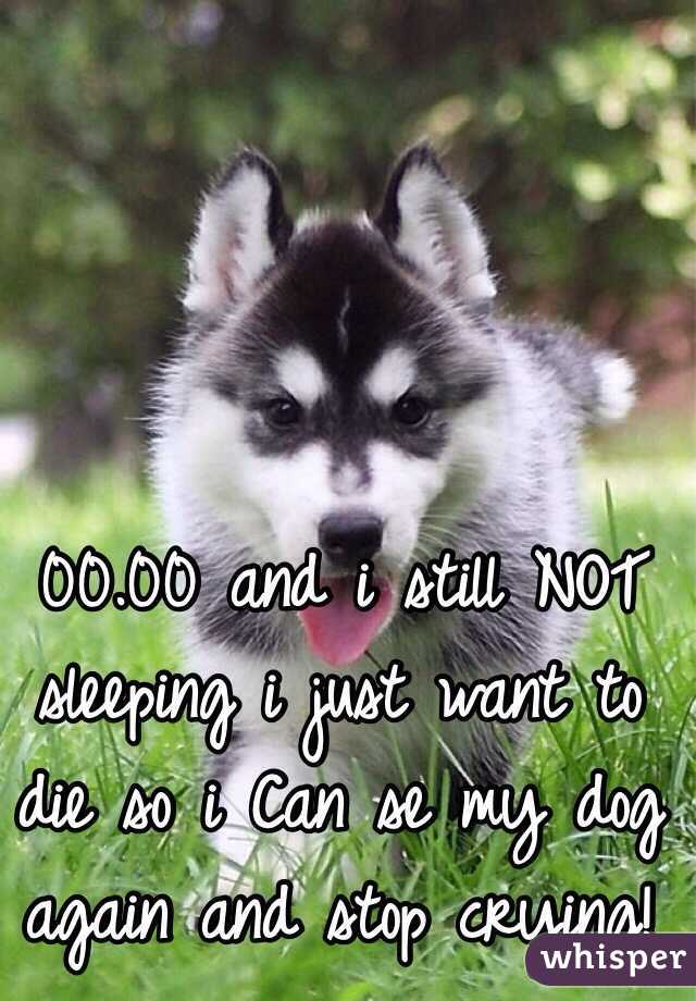 00.00 and i still NOT sleeping i just want to die so i Can se my dog again and stop crying!
