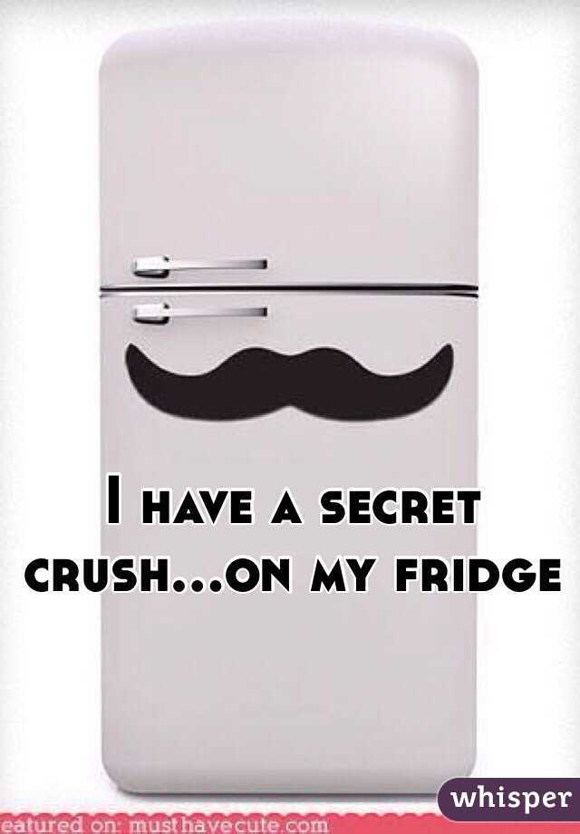 I have a secret crush...on my fridge