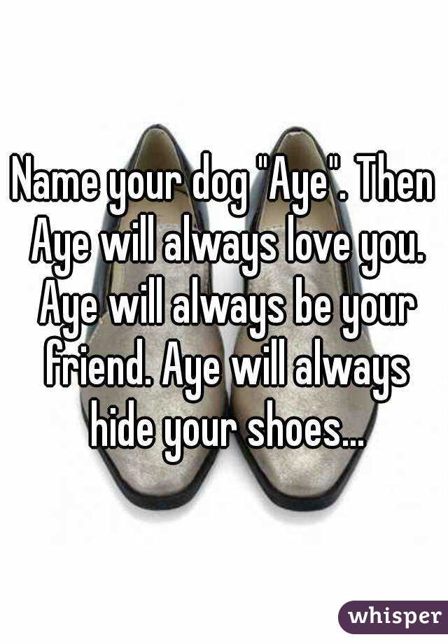 Name your dog "Aye". Then Aye will always love you. Aye will always be your friend. Aye will always hide your shoes...
