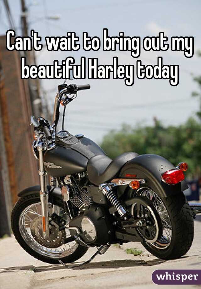 Can't wait to bring out my beautiful Harley today