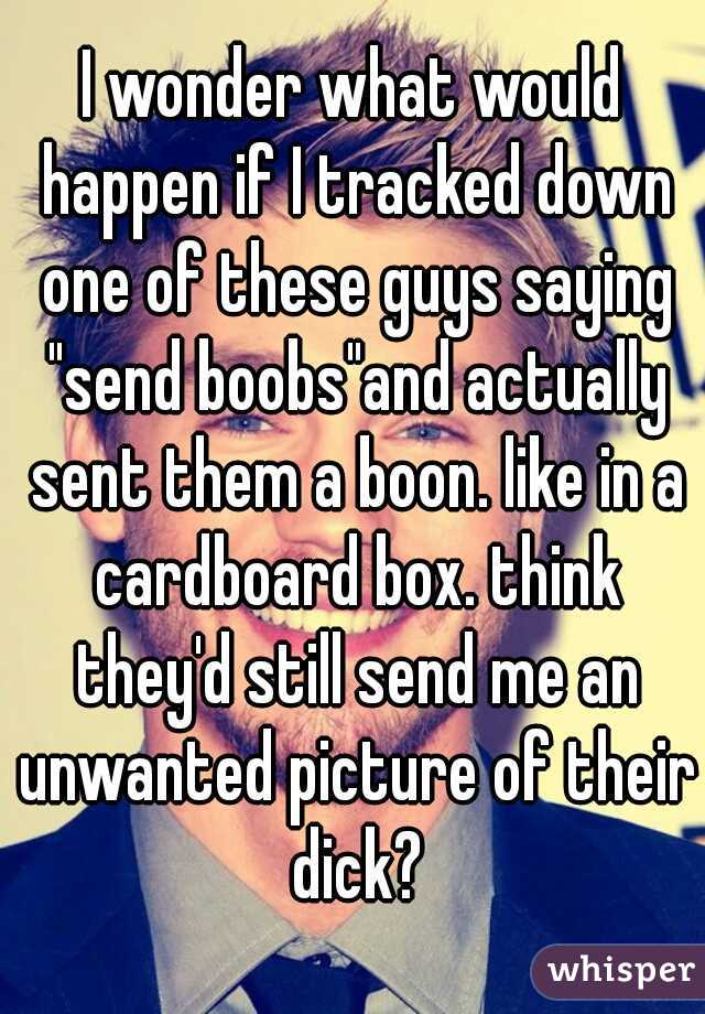I wonder what would happen if I tracked down one of these guys saying "send boobs"and actually sent them a boon. like in a cardboard box. think they'd still send me an unwanted picture of their dick?