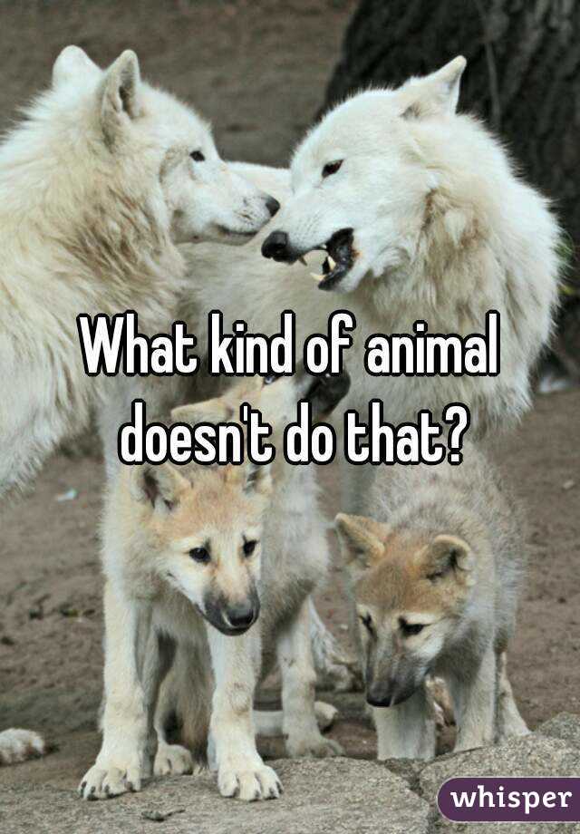 What kind of animal doesn't do that?