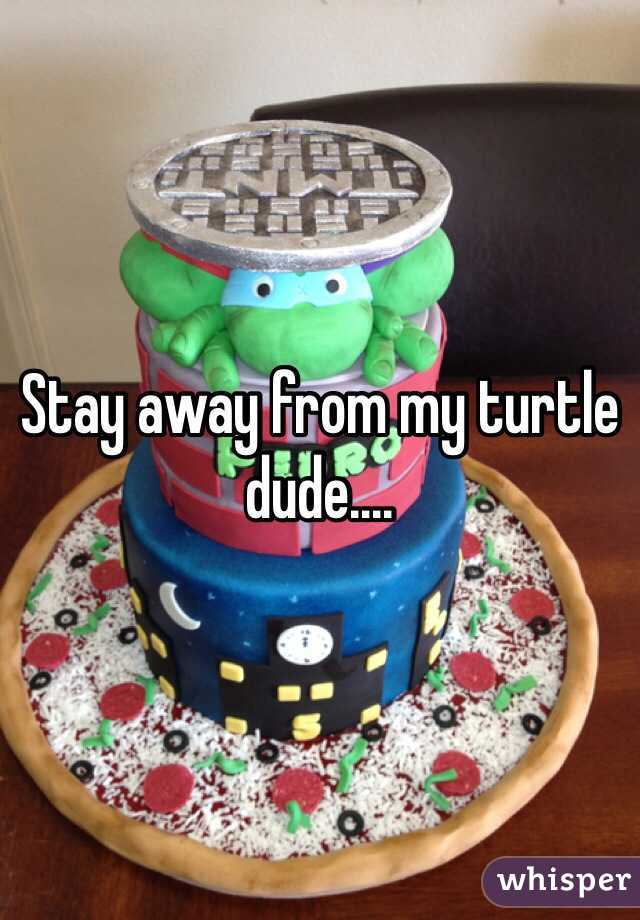 Stay away from my turtle dude....
