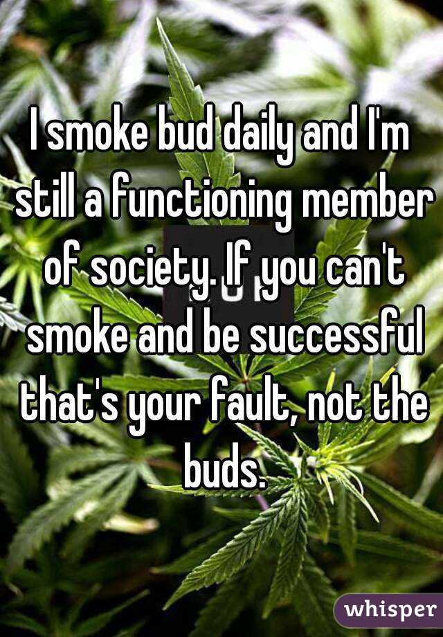 I smoke bud daily and I'm still a functioning member of society. If you can't smoke and be successful that's your fault, not the buds.
