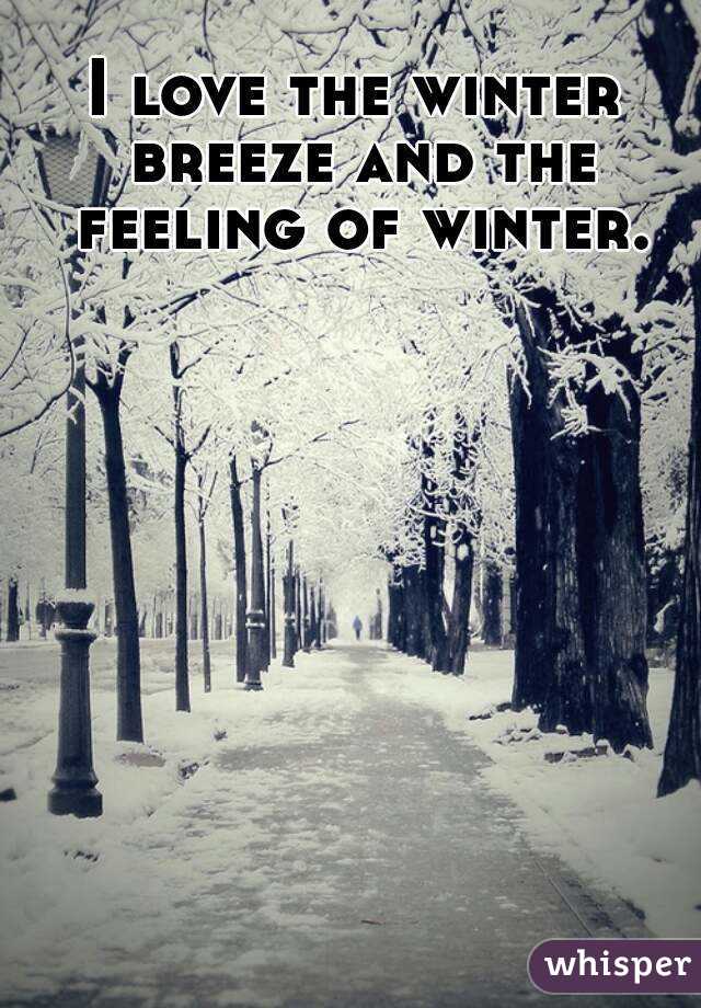 I love the winter breeze and the feeling of winter.