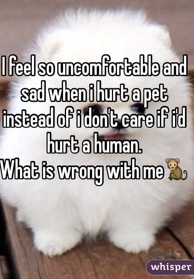 I feel so uncomfortable and sad when i hurt a pet instead of i don't care if i'd hurt a human.
What is wrong with me🐒