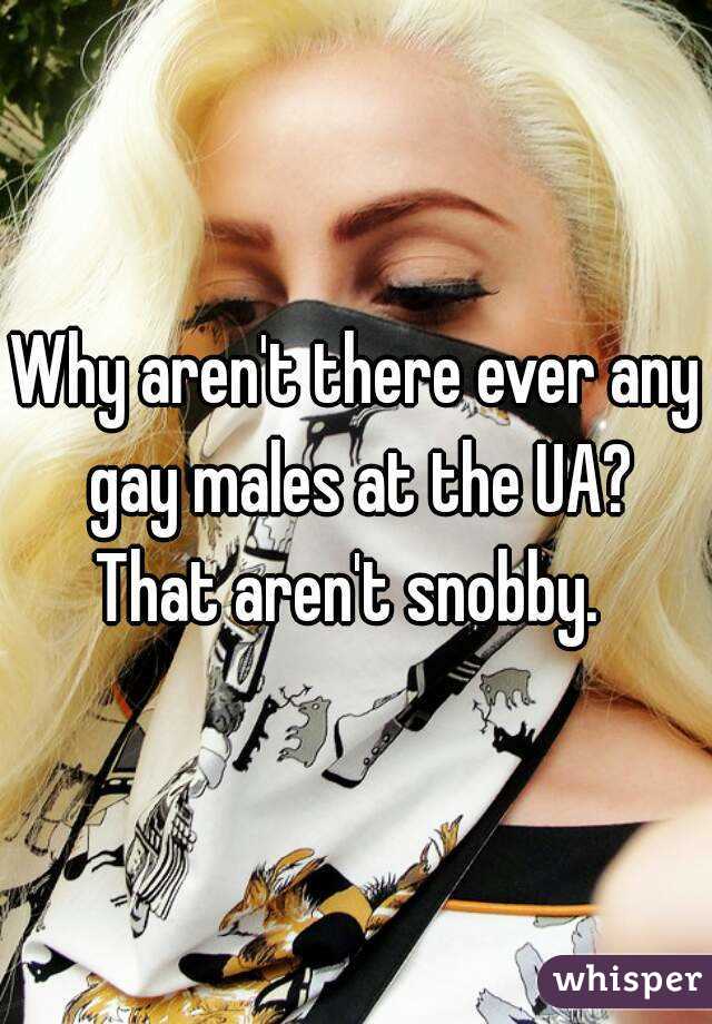 Why aren't there ever any gay males at the UA?
That aren't snobby. 