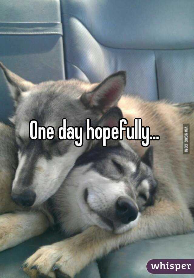One day hopefully... 
