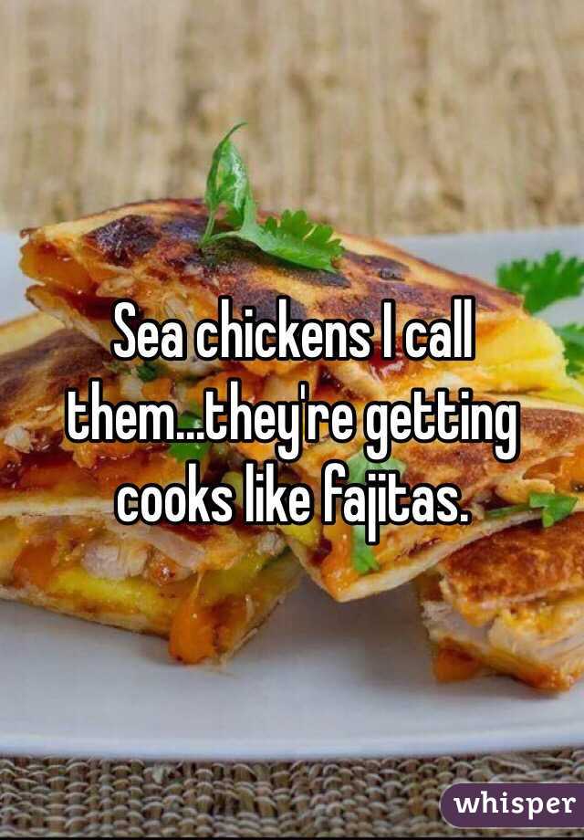 Sea chickens I call them...they're getting cooks like fajitas.