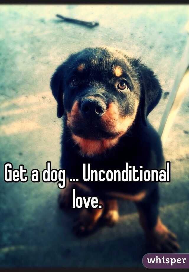 Get a dog ... Unconditional love. 