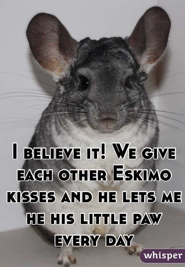 I believe it! We give each other Eskimo kisses and he lets me he his little paw every day