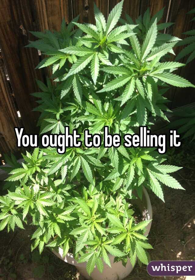 You ought to be selling it