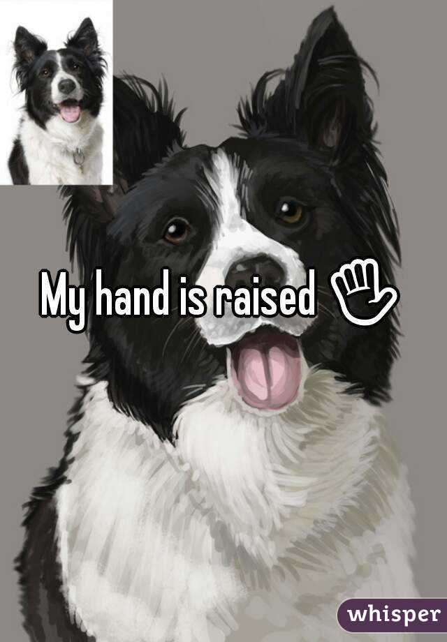 My hand is raised ✋