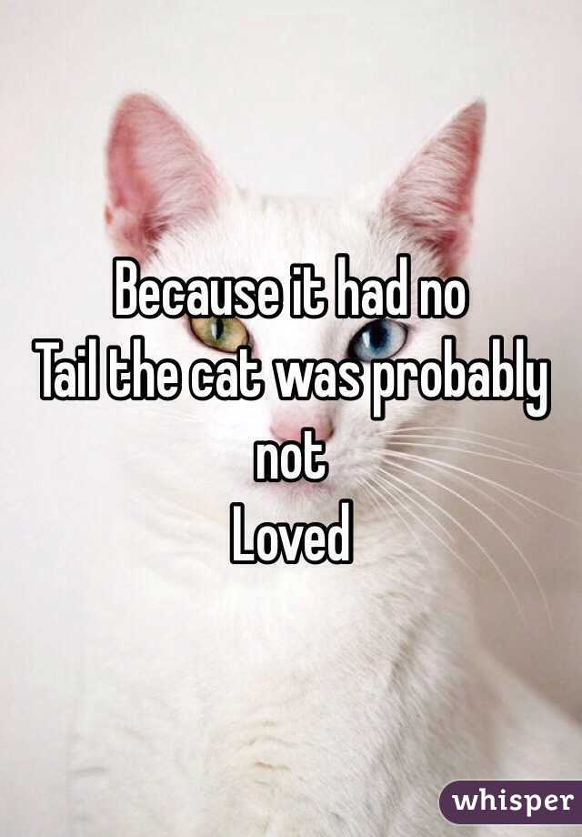 Because it had no
Tail the cat was probably not
Loved 