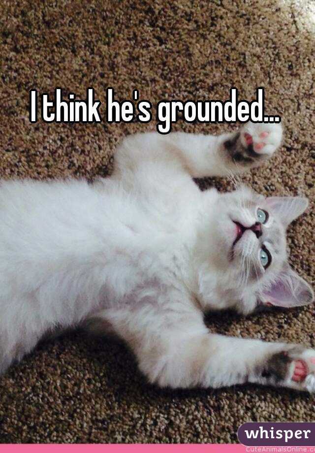 I think he's grounded...