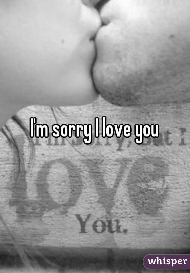 I'm sorry I love you