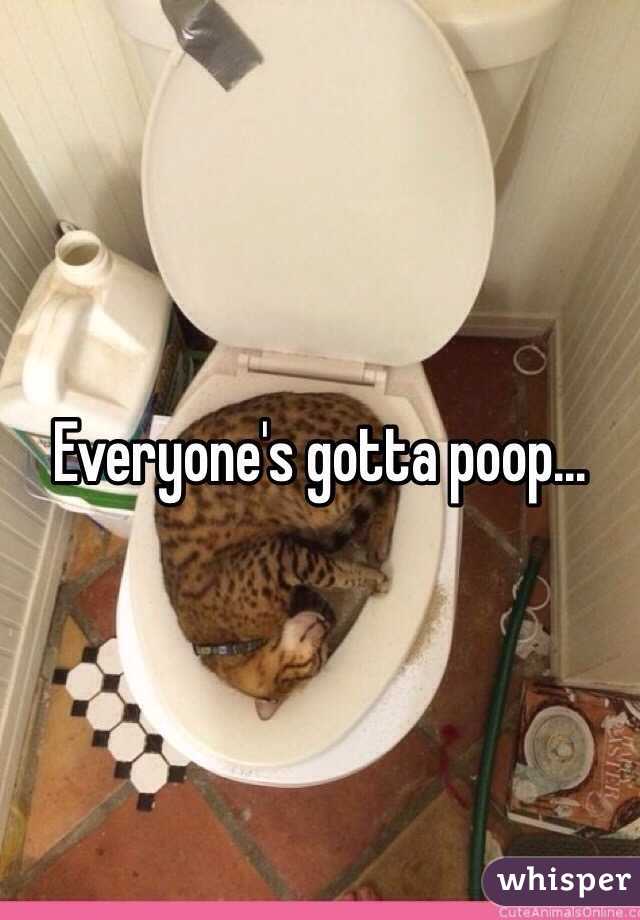 Everyone's gotta poop...