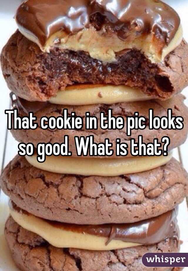 That cookie in the pic looks so good. What is that?