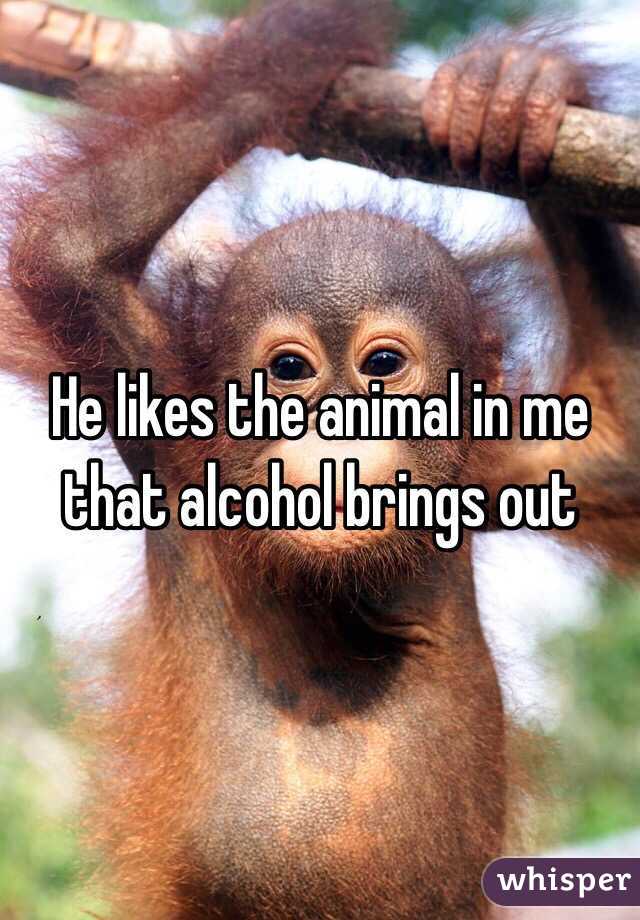 He likes the animal in me that alcohol brings out 