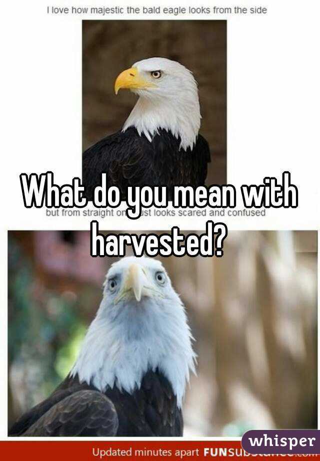 What do you mean with harvested? 