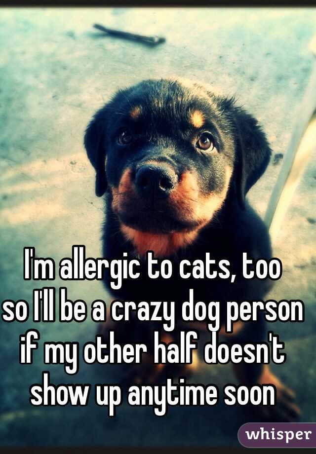 I'm allergic to cats, too 
so I'll be a crazy dog person if my other half doesn't show up anytime soon