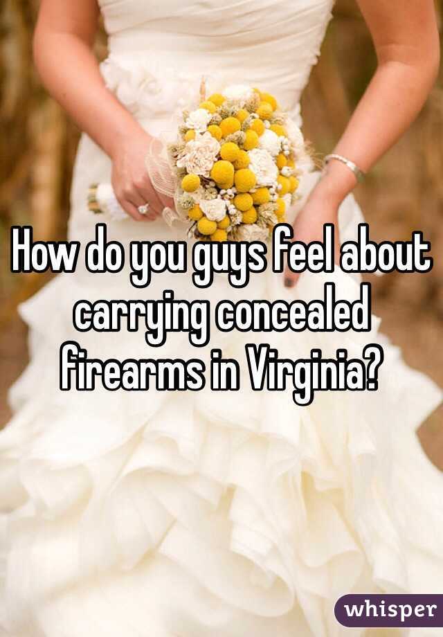 How do you guys feel about carrying concealed firearms in Virginia?