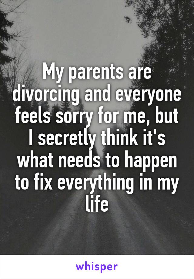 My parents are divorcing and everyone feels sorry for me, but I secretly think it's what needs to happen to fix everything in my life