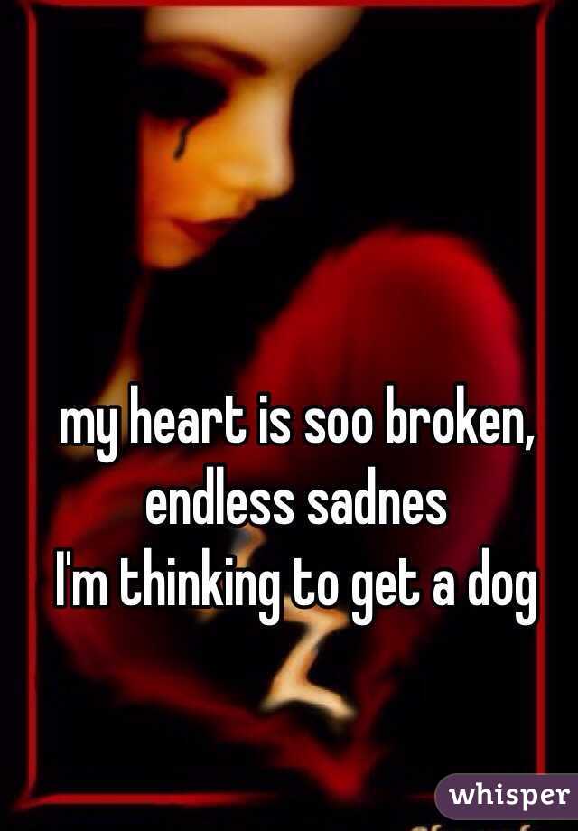 my heart is soo broken, endless sadnes 
I'm thinking to get a dog