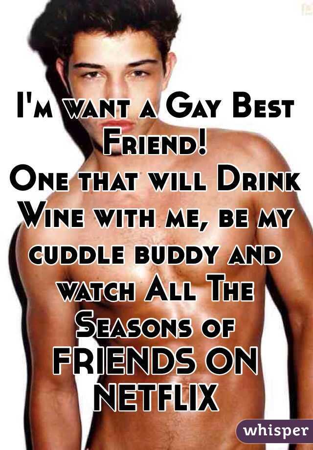 I'm want a Gay Best Friend!
One that will Drink Wine with me, be my cuddle buddy and watch All The Seasons of FRIENDS ON NETFLIX