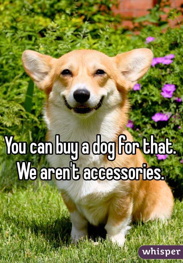 You can buy a dog for that. We aren't accessories.